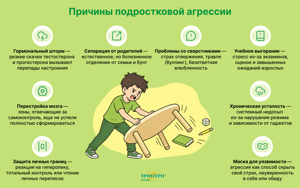 Тенотен детский: Причины подростковой агрессии